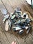 $1 reserve Pounamu greenstone etc bits and bobs offcuts 1.8 kg Carousel 1