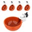 New Chicken Water Feeder on Afterpay Carousel 1