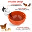 New Chicken Water Feeder on Afterpay Carousel 3