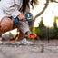 gallery view thumbnail