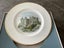 Wedgwood decorative plates 27cm Carousel 4