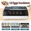 Egg Incubator - Brand New Carousel 1