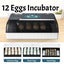Egg Incubator - Brand New Carousel 2