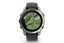 Garmin Fenix E Smart Sports Watch (Stainless Steel/Black Band, 47mm) Carousel 4