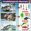Fishing Advent Calendar Fishing Lure Advent Calendar Countdown Fishing Tackle Carousel 11