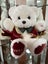 1995 Vintage Farmers Santa Bear with Pocket Watch and Bow Tie and Santa Hat Carousel 1