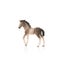Schleich Andalusian Foal Carousel 8