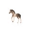 Schleich Andalusian Foal Carousel 9