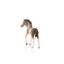 Schleich Andalusian Foal Carousel 11