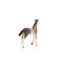 Schleich Andalusian Foal Carousel 16
