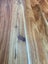 Authentic Solid timber flooring. NZ grown feature grade blackwood. Carousel 14