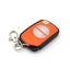 Elsema Pentafob 2 Button Orange FOB43302 Genuine Remote Carousel 10
