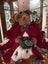 Bearington Bear - Sprucey Lucy - a Limited "Smellington Series" Bear Carousel 1