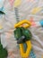 2 x john deere kids gardening toys Carousel 2