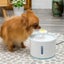 Ape Basics: Pet Electric Water Dispenser Carousel 3