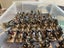 28mm Normans Carousel 2