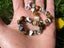 Sterling Silver 925 bracelet with gemstones - Lovely! Carousel 2