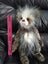 Charlie Bears Keeley ~ Very Collectable! ~ Exquisite! Excell Cond! UK Handmade Carousel 7