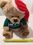 2017 Christmas Santa Bear with Green Knitted Reindeer Jersey Carousel 7