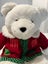 Large Plush White Santa Bear with Red Knitted Cardigan Carousel 9