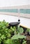 Garden Planter Self-Watering Kit - Small Carousel 4