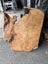 AK250062 Ancient Swamp Kauri Stump Slab – 120 × 120 / 110 × 8.5 cm Carousel 8