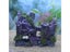 Fish Tank Ornament (Auckland Stock) Carousel 10