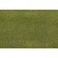 Grass Mat - 2500 x 1250mm (Moss Green) Carousel 1