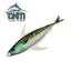 Nacsan Tuna Teaser Flap 50.8cm 20" Carousel 1