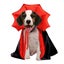 Bear Halloween Dog Vampire Costume, Cosplay and Halloween Dog Dress, Cat Dr Carousel 1