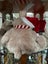 2009 Christmas Santa Bear with Hat and Striped Red and White Scarf Carousel 3