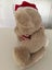 2009 Christmas Santa Bear with Hat and Striped Red and White Scarf Carousel 9