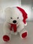 White Plush 2016 Christmas Santa Teddy Bear with Hat and Knitted Scarf Carousel 5