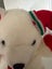 White Christmas Bear with Hat and Scarf and Lovely Red paws Carousel 8