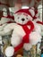 Vintage Farmers Santa Bear with Hat and Scarf Carousel 5