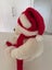 Vintage Farmers Santa Bear with Hat and Scarf Carousel 9