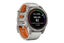 Garmin Fenix 7 Pro Sapphire Solar Smart Sports Watch (Titanium with Fog Grey and Carousel 2