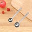 2 PCS Coffee Scoop Stainless Steel Tablespoon long handled Spoons (15ML & 3 Carousel 6