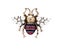 Inlay Rhinestone Simulated Pearl Bee Brooch Carousel 1