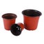 100PCS Plastic Plant Flower Garden Pots Nursery Seedlings Pot Growing Container Carousel 3