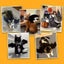 Adjustable Black Bat Wings for for Cats and small Dogs Carousel 1