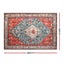 Artiss Floor Rug 240X340cm Large Washable Area Modern Living Room Carpet Mat Carousel 2