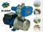 Jet Water Pump - Electric , 370W Carousel 1