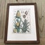 An original hand coloured copper plate engraving of Pineapples by Denis Diderot Carousel 1