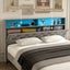 LED Bed Frame with Storage Headboard Queen Size Platform Mattress Base Wooden Carousel 5