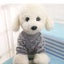 Pet Dog Sweater Warm Causal Coat Winter Jacket Vest Party Apparels For Pupp Carousel 2