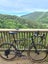 Ritchey Swiss-Cross with Di2 Carousel 4