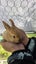 Rabbit for sale Carousel 4
