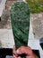 1$ reserve greenstone/pounamu mere/putu Carousel 4