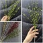 Christmas Artificial Glitter Berry Stem Decorations, Decorative Bead Sticks Carousel 4